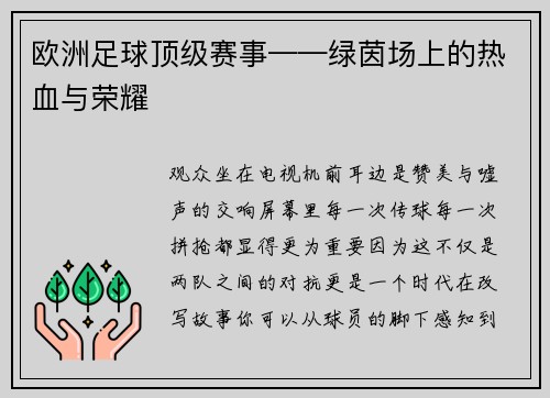 欧洲足球顶级赛事——绿茵场上的热血与荣耀